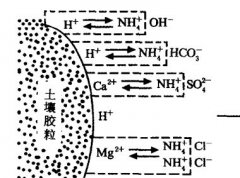 施用碳酸氫銨為什么要強(qiáng)調(diào)深施覆土？