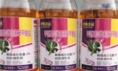 bt殺蟲(chóng)劑的最佳使用方法，需掌握以下四點(diǎn)