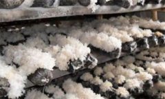銀耳的蟲(chóng)害主要有哪些，如何防治