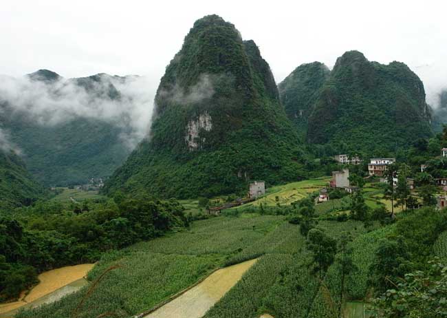 農(nóng)村致富項(xiàng)目有哪些