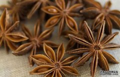 八角的市場(chǎng)價(jià)格，八角的選購(gòu)方法與食用方法