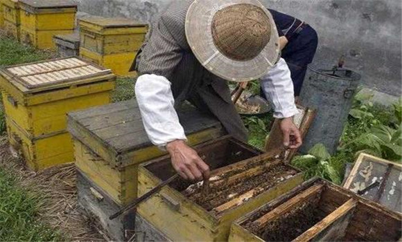 漿框和漿碗的數量
