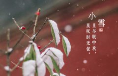 小雪節(jié)氣是什么意思，小雪節(jié)氣吃什么食品？