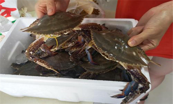 螃蟹屬于海鮮嗎？