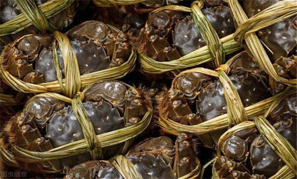 螃蟹買回來(lái)怎么保存？