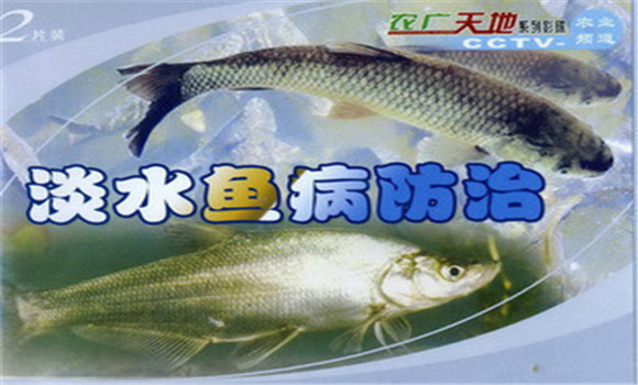 魚(yú)病的預(yù)防與治療