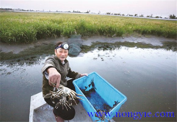 水源充足、水質(zhì)清新無污染