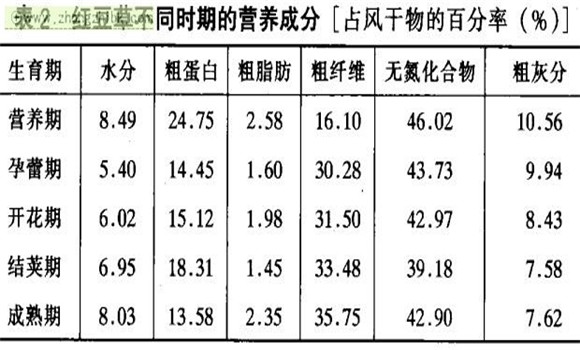 紅豆草經(jīng)濟(jì)價值及利用