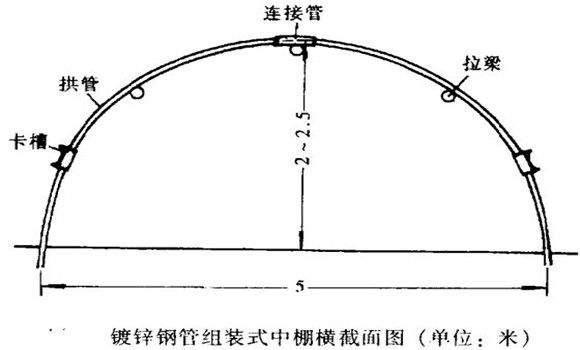 塑料中棚加外覆蓋能明顯使蔬菜早熟，效益高