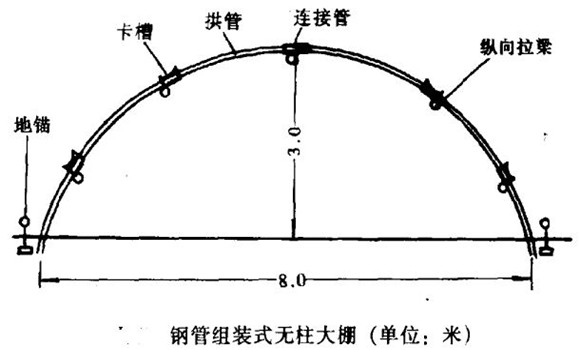 大棚蔬菜種植