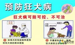 豬偽狂犬病的癥狀與治療方法,防治要點(diǎn)是什么