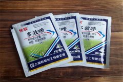如何正確使用多效唑，用多了發(fā)生藥害怎么辦？
