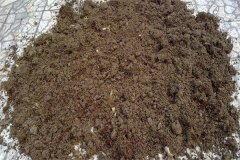 怎樣用多菌靈給土壤消毒，多菌靈可防治哪些病