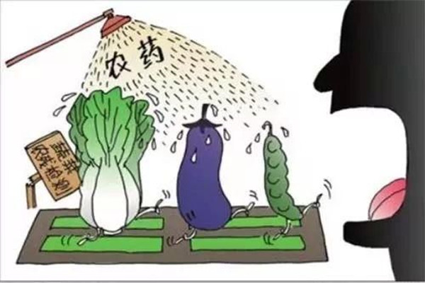 怎樣合理使用農(nóng)藥，防止農(nóng)藥對(duì)蔬菜的污染