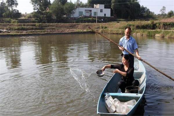 魚(yú)塘春季施肥注意事項(xiàng)