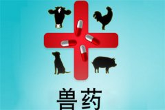 獸藥屬于藥品嗎？獸藥與人用藥的區(qū)別是什么？