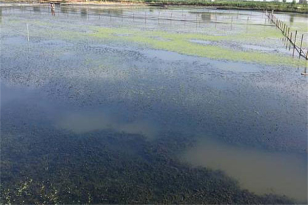 增加溶氧，促進(jìn)有機(jī)物氧化分解