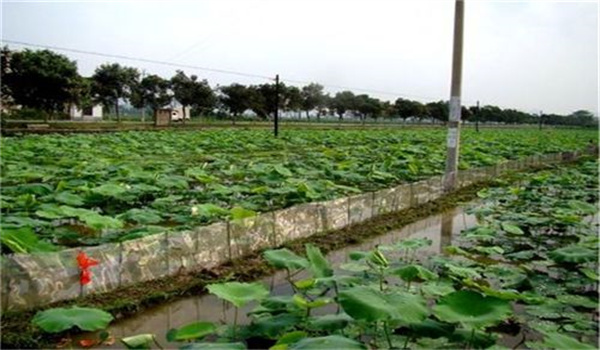 日常管理要求