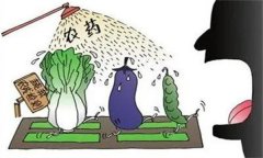 農(nóng)藥“安全、經(jīng)濟、有效”的使用原則