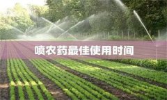 農(nóng)藥用藥時(shí)間問(wèn)題：適時(shí)用藥是關(guān)鍵！