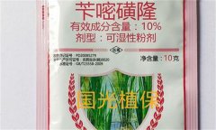芐嘧磺隆的作用機制、使用方法與注意事項