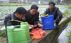 農(nóng)藥混配的原則及注意事項(xiàng)有哪些？