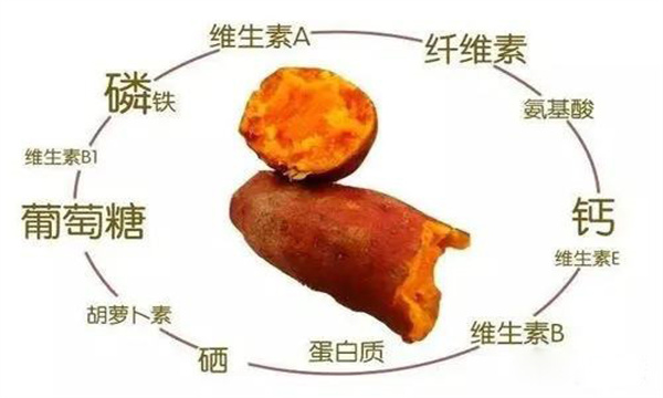 紅薯的營(yíng)養(yǎng)特點(diǎn)