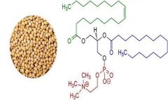 大豆異黃酮對(duì)人體有什么好處 什么食物含量多？