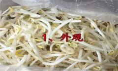 如何挑選豆芽？有根豆芽與無根豆芽有什么區(qū)別